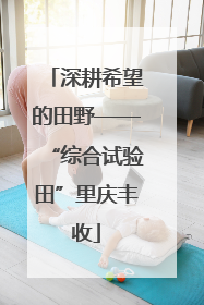 深耕希望的田野——“综合试验田”里庆丰收