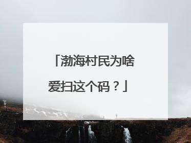 渤海村民为啥爱扫这个码？