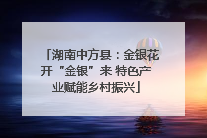 湖南中方县：金银花开“金银”来 特色产业赋能乡村振兴