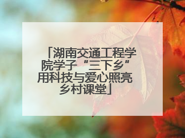 湖南交通工程学院学子“三下乡”用科技与爱心照亮乡村课堂