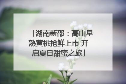 湖南新邵：高山早熟黄桃抢鲜上市 开启夏日甜蜜之旅