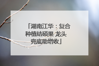 湖南江华：复合种植结硕果 龙头兜底助增收