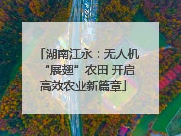 湖南江永：无人机“展翅”农田 开启高效农业新篇章