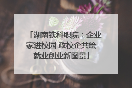 湖南铁科职院：企业家进校园 政校企共绘就业创业新图景