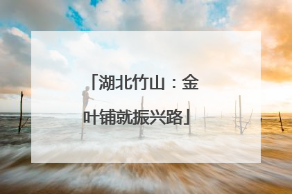 湖北竹山：金叶铺就振兴路