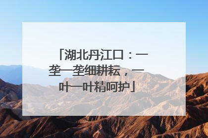 湖北丹江口：一垄一垄细耕耘，一叶一叶精呵护