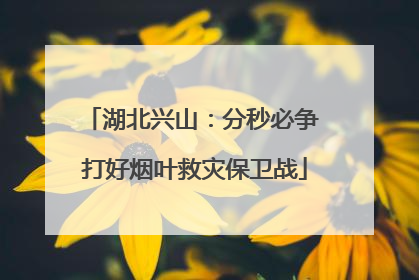湖北兴山：分秒必争 打好烟叶救灾保卫战