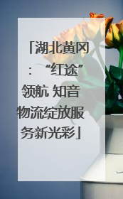 湖北黄冈：“红途”领航 知音物流绽放服务新光彩