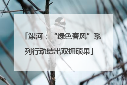 漯河：“绿色春风”系列行动结出双拥硕果