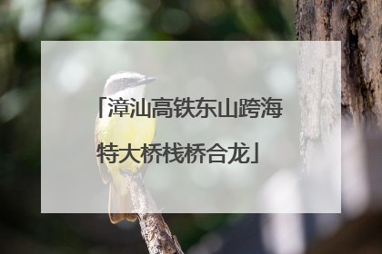 漳汕高铁东山跨海特大桥栈桥合龙