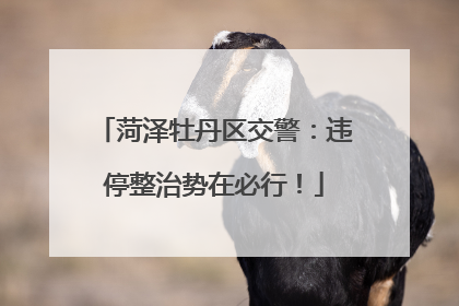 菏泽牡丹区交警：违停整治势在必行！