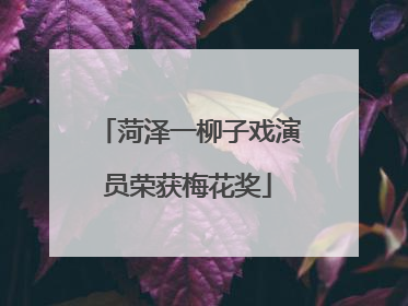 菏泽一柳子戏演员荣获梅花奖