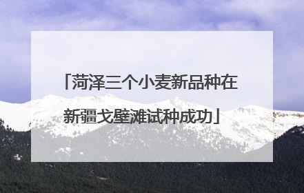 菏泽三个小麦新品种在新疆戈壁滩试种成功
