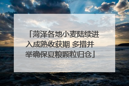菏泽各地小麦陆续进入成熟收获期 多措并举确保夏粮颗粒归仓