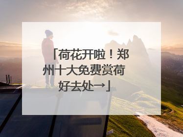 荷花开啦!郑州十大免费赏荷好去处→