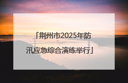 荆州市2025年防汛应急综合演练举行