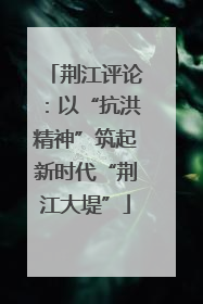 荆江评论：以“抗洪精神”筑起新时代“荆江大堤”