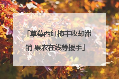 草莓西红柿丰收却滞销 果农在线等援手