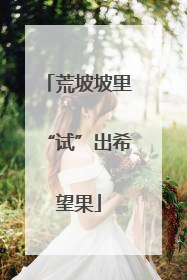 荒坡坡里“试”出希望果
