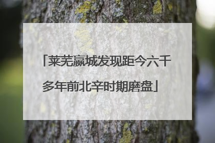 莱芜嬴城发现距今六千多年前北辛时期磨盘