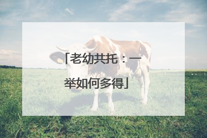 老幼共托：一举如何多得