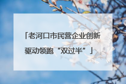 老河口市民营企业创新驱动领跑“双过半”
