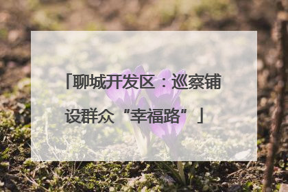 聊城开发区：巡察铺设群众“幸福路”