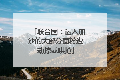 联合国：运入加沙的大部分面粉遭劫掠或哄抢