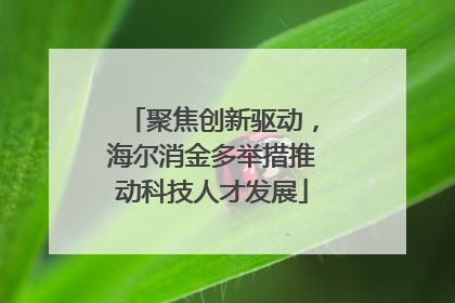 聚焦创新驱动，海尔消金多举措推动科技人才发展