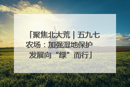 聚焦北大荒｜五九七农场：加强湿地保护 发展向“绿”而行
