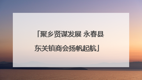 聚乡贤谋发展 永春县东关镇商会扬帆起航