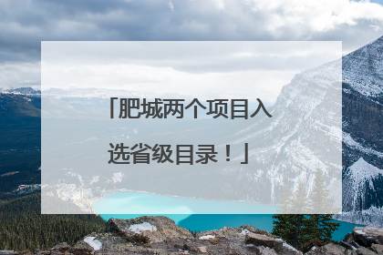 肥城两个项目入选省级目录！