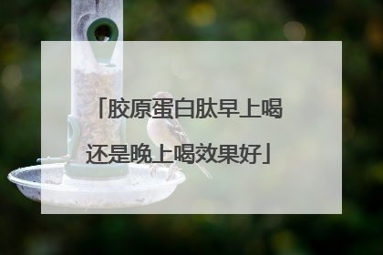 胶原蛋白肽早上喝还是晚上喝效果好