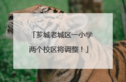 芗城老城区一小学两个校区将调整！