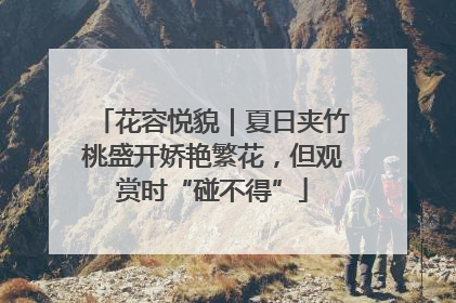 花容悦貌｜夏日夹竹桃盛开娇艳繁花，但观赏时“碰不得”