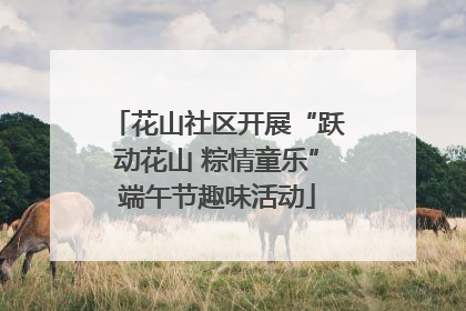 花山社区开展“跃动花山 粽情童乐”端午节趣味活动