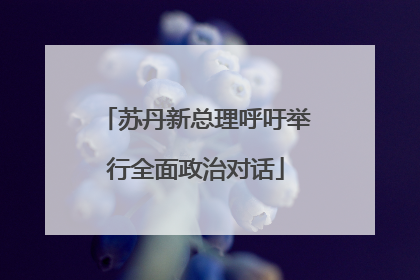 苏丹新总理呼吁举行全面政治对话