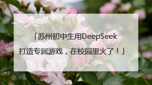 苏州初中生用DeepSeek打造专属游戏，在校园里火了！