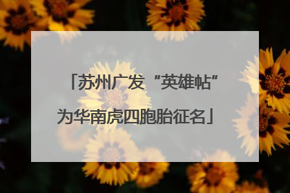 苏州广发“英雄帖”为华南虎四胞胎征名
