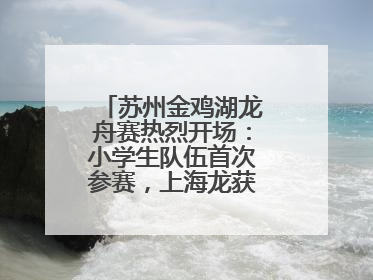 苏州金鸡湖龙舟赛热烈开场：小学生队伍首次参赛，上海龙获国际组冠亚军