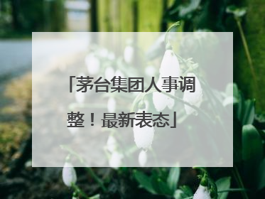 茅台集团人事调整！最新表态