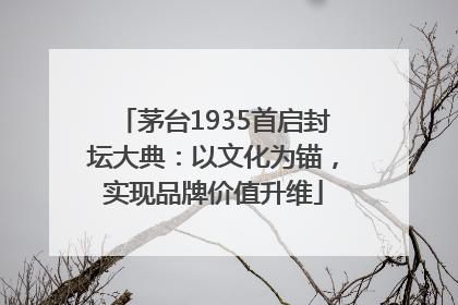 茅台1935首启封坛大典：以文化为锚，实现品牌价值升维