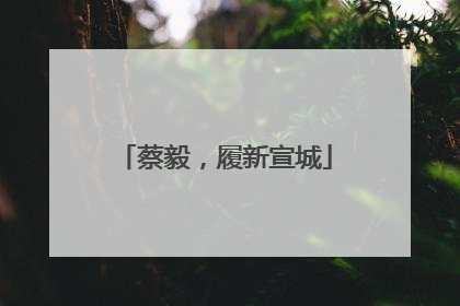蔡毅，履新宣城