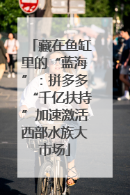 藏在鱼缸里的“蓝海”：拼多多“千亿扶持”加速激活西部水族大市场