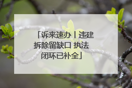 诉来速办丨违建拆除留缺口 执法闭环已补全
