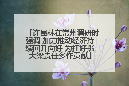 许昆林在常州调研时强调 加力推动经济持续回升向好 为扛好挑大梁责任多作贡献