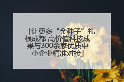 让更多“金种子”扎根成都 高价值科技成果与300余家优质中小企业精准对接