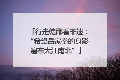 行走赣鄱看非遗：“希望岳家拳的身影遍布大江南北”