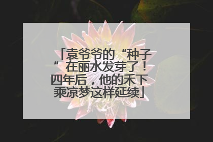 袁爷爷的“种子”在丽水发芽了！四年后，他的禾下乘凉梦这样延续