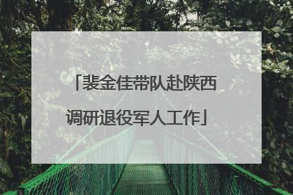 裴金佳带队赴陕西调研退役军人工作